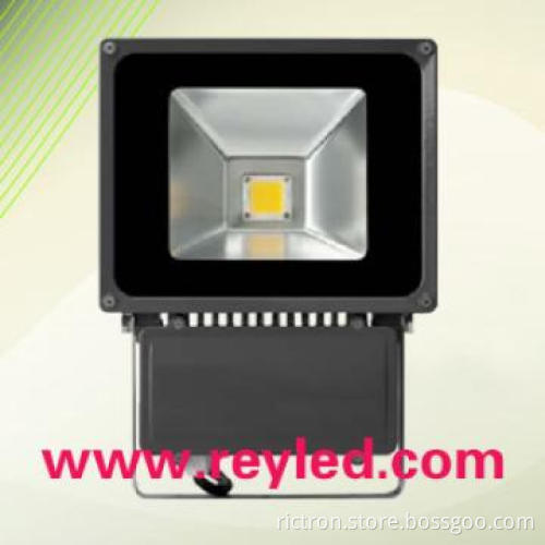 LED Flood Light/RC-FD1060/60W /AC85-265V